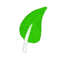 Leaf Sticker