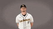 Cal State La Baseball GIF by Cal State LA Golden Eagles