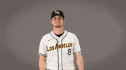 Cal State La Baseball GIF by Cal State LA Golden Eagles