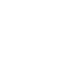 Shark Sticker by Galfer Brakes