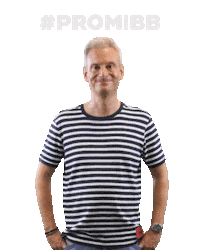 Promibb Promibigbrother Sticker by sat1