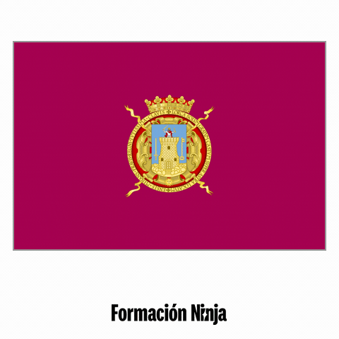 Flag Spain GIF by Formación Ninja