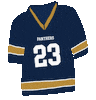 American Football Sticker by Florida International University