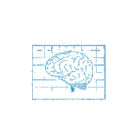 braintrustcad idea growth braintrust braintrust canada Sticker