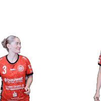 Handball Sticker by Hollenstedt-Handball