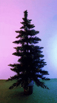 Christmas Tree GIF by cintascotch