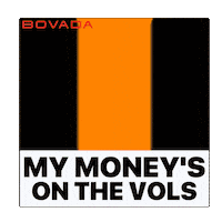 Tennessee Volunteers Sticker by Bovada