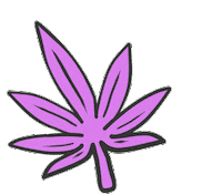 hwans_story pink wave wind story Sticker