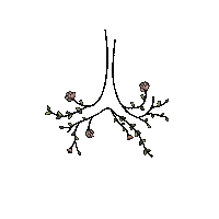 lorenzalucani flower shine chaos breathe Sticker
