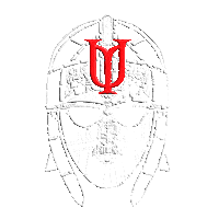 King Sticker by _huscarl_