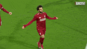 premier league love GIF by Liverpool FC