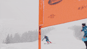 Team Usa Sport GIF by U.S. Ski & Snowboard Team