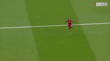 premier league hug GIF by Liverpool FC