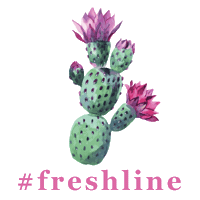 Spring Cactus Sticker by Fresh Line