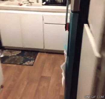 milk GIF