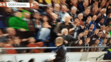 fans hannover96 GIF