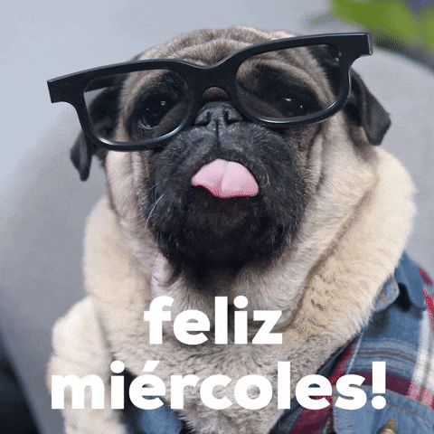 Feliz Miercoles GIF by Sealed With A GIF