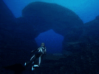 swim diving GIF by Beyond Blue