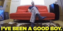 Good Boy GIF by Team Coco