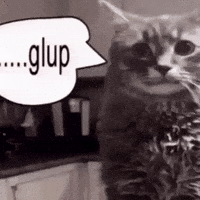 Gulping Cat Gulp GIF