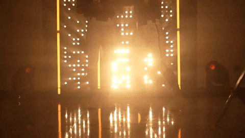 Florida State Softball GIF by NCAA Championships