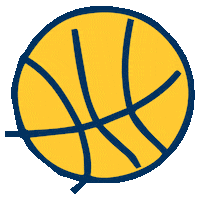 Sport Basketball Sticker by Grupo Newport