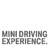 Winter Race Sticker by BMW & MINI Driving Experience