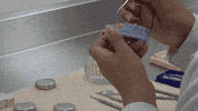 health salud GIF by UDLAP