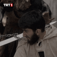 Trt1 Alparslan GIF by WASS Medya