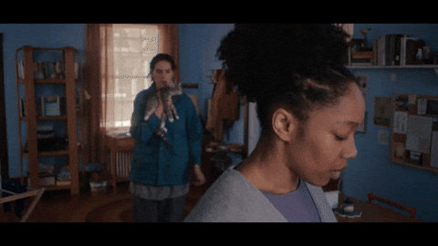 Cat Surprise GIF by VVS FILMS