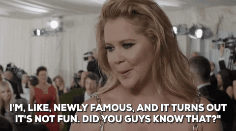 famous amy schumer GIF