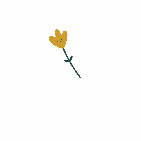 ellaquinn_x giphyupload flower thank you flowers GIF