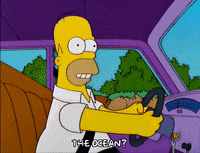 homer simpson episode 6 GIF