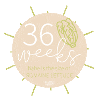 Pregnancy Baby Bump Sticker by Audrey & Bear