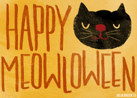 Black Cat GIF