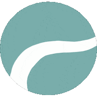 Wave Kazakhstan Sticker