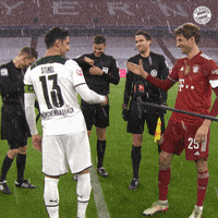 Thomas Muller Bundesliga GIF by FC Bayern Munich