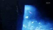 Ultimate Warrior Wwe GIF by DARK SIDE OF THE RING