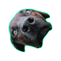 Щенок Sticker by Romtat Farm