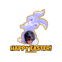 Dog Sticker