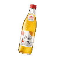 Orange Limonade Sticker by Stiegl