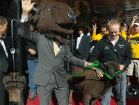 north dakota state bison GIF by College GameDay
