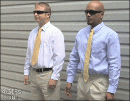 dump GIF