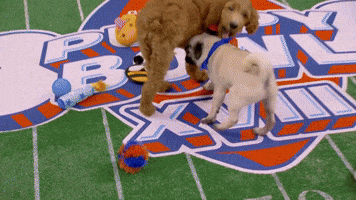 A Dirty Play