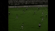 rincon ituano GIF by SE Palmeiras