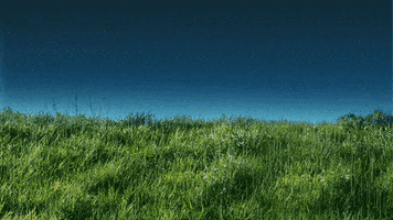 Sunny Day Sun GIF by Mane 'n Tail