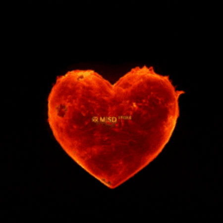 Heart Love GIF by MSD Online Shop