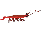 Marine Biology Swimming Sticker by GT8Studios