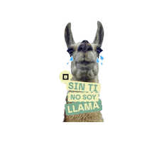 Llama Animallover Sticker by Nubika Formacion
