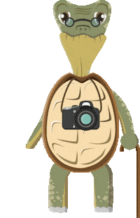 Photography Mascot Sticker